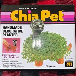Dinosaur Chia Plant